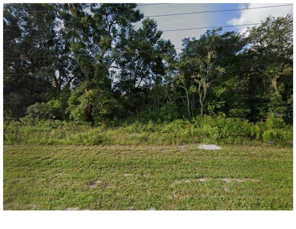 17314 County Line Rd., Spring Hill, FL 34610