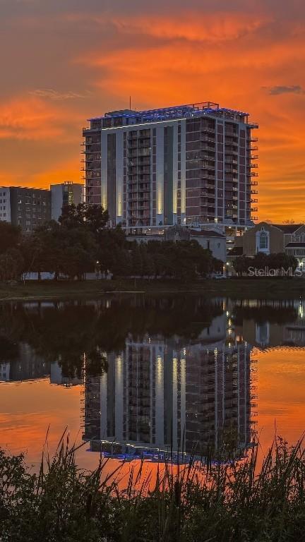777 3rd Ave. #1105, St Petersburg, FL 33701
