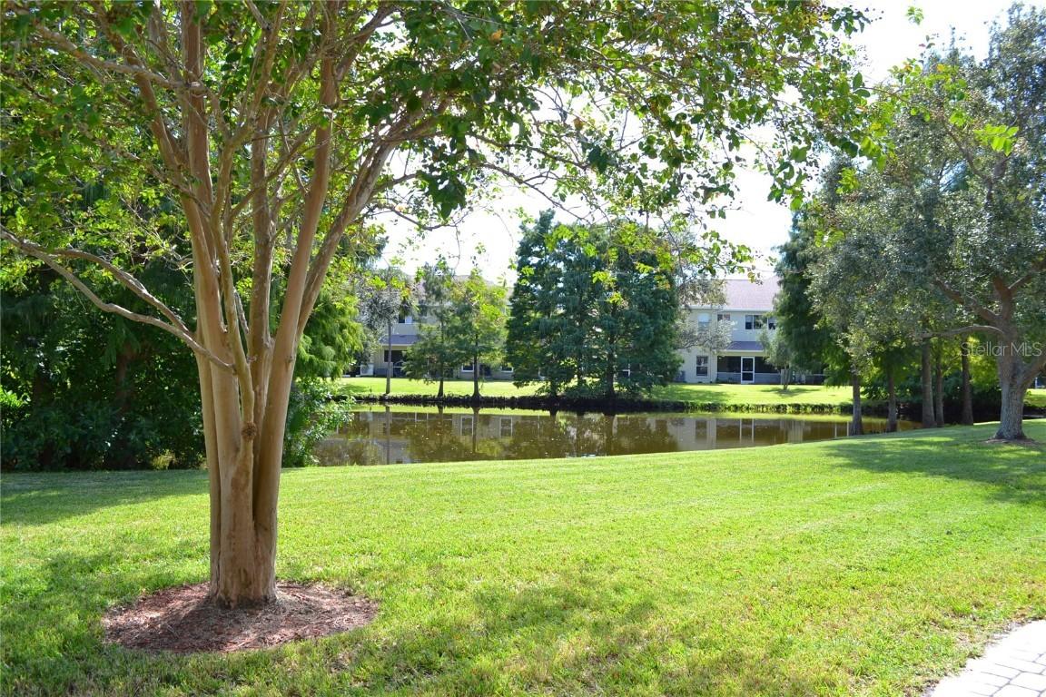 11135 Kapok Grand Cir., Madeira Beach, FL 33708