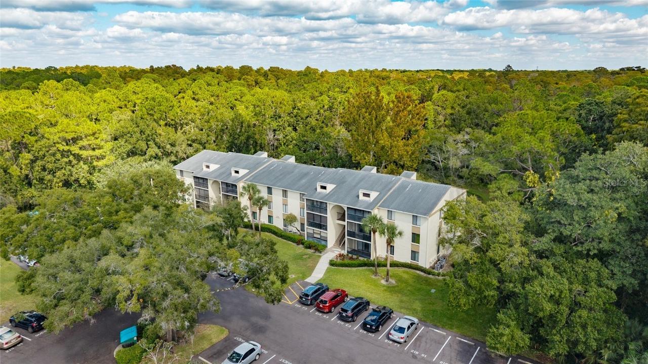 3232 E Lake Pine Way #F2, Tarpon Springs, FL 34688