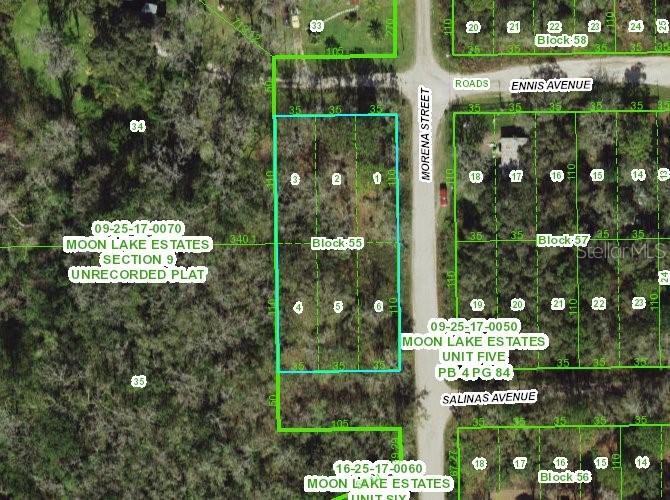 11021 Morena St., New Port Richey, FL 34654