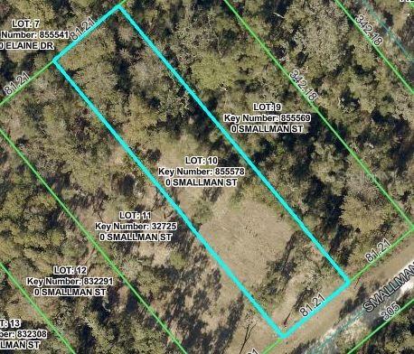 Smallman St., Webster, FL 33597