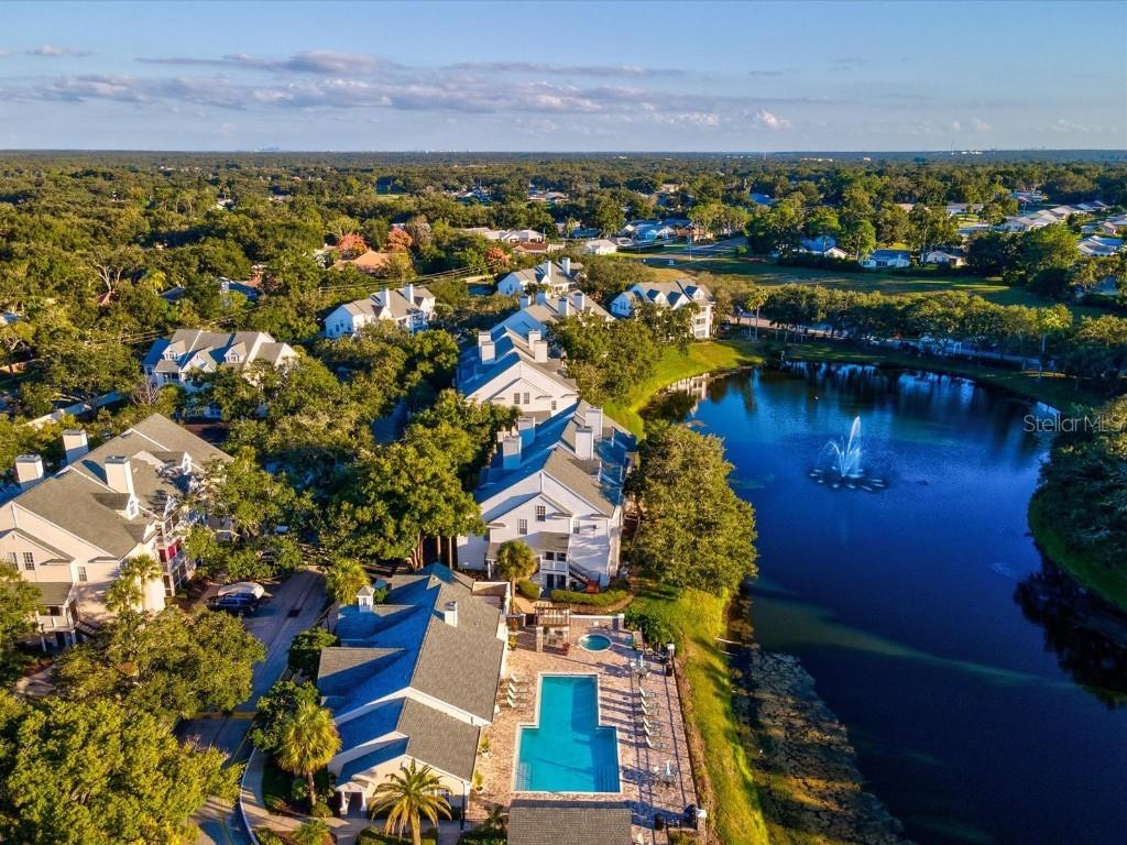 3321 Haviland Ct. #104, Palm Harbor, FL 34684