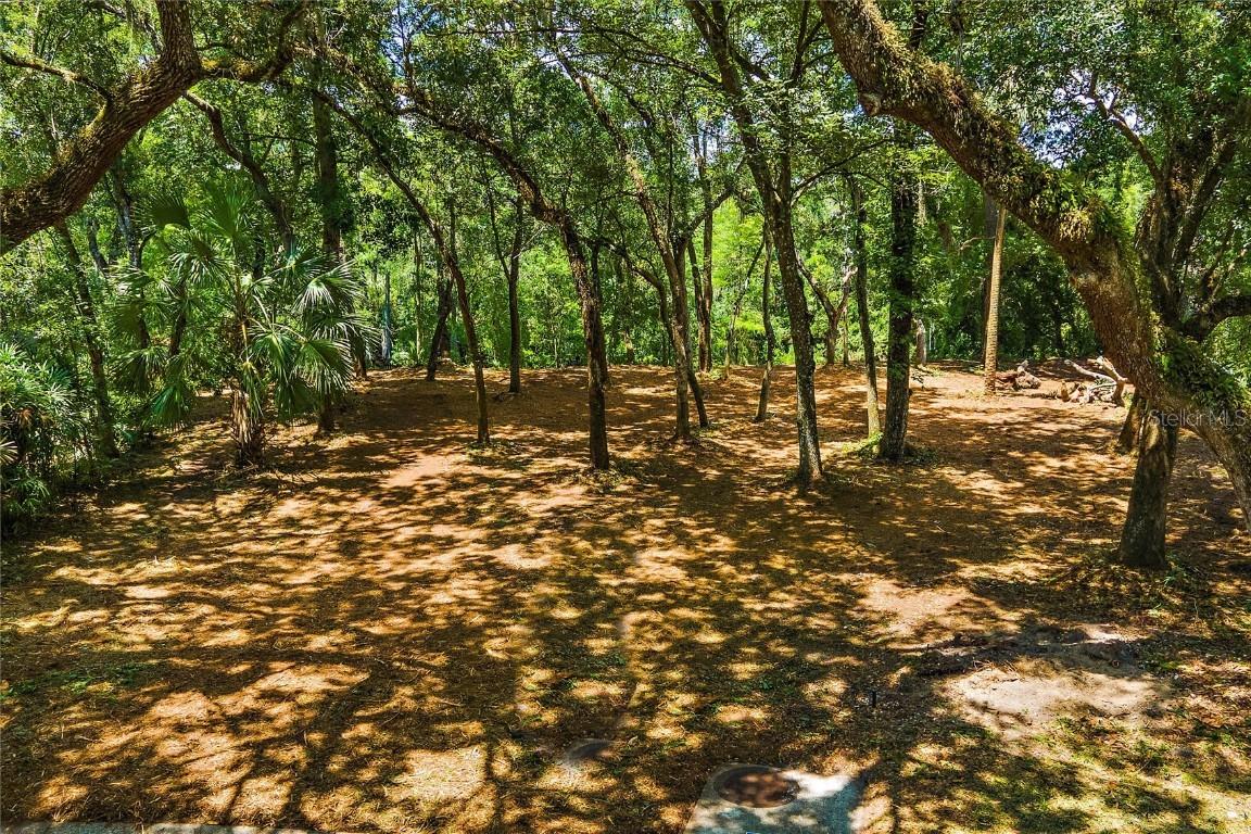 11731 Gail Dr., Temple Terrace, FL 33617