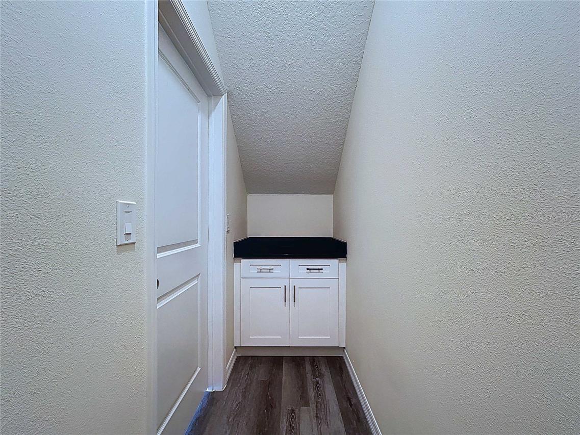 4372 Cambio Gardens Court, Tampa, FL 33610