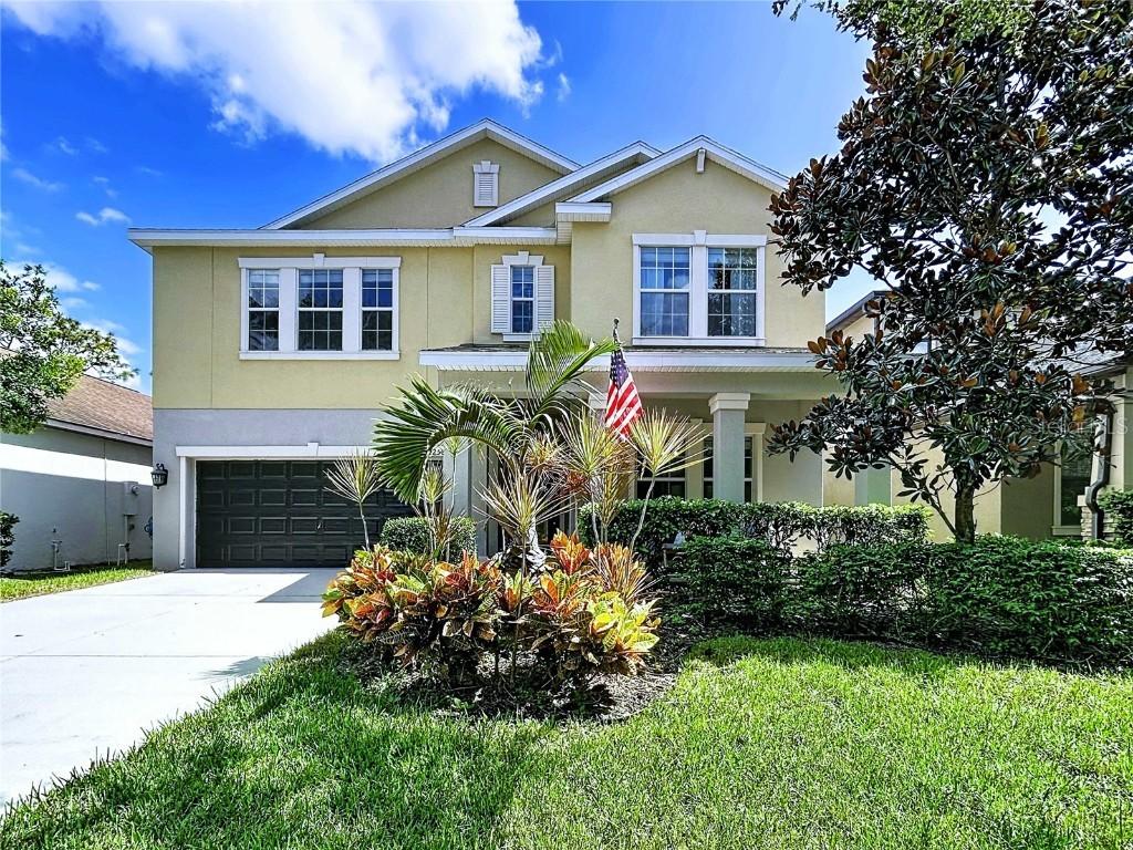 14256 Blue Dasher Dr., Riverview, FL 33569