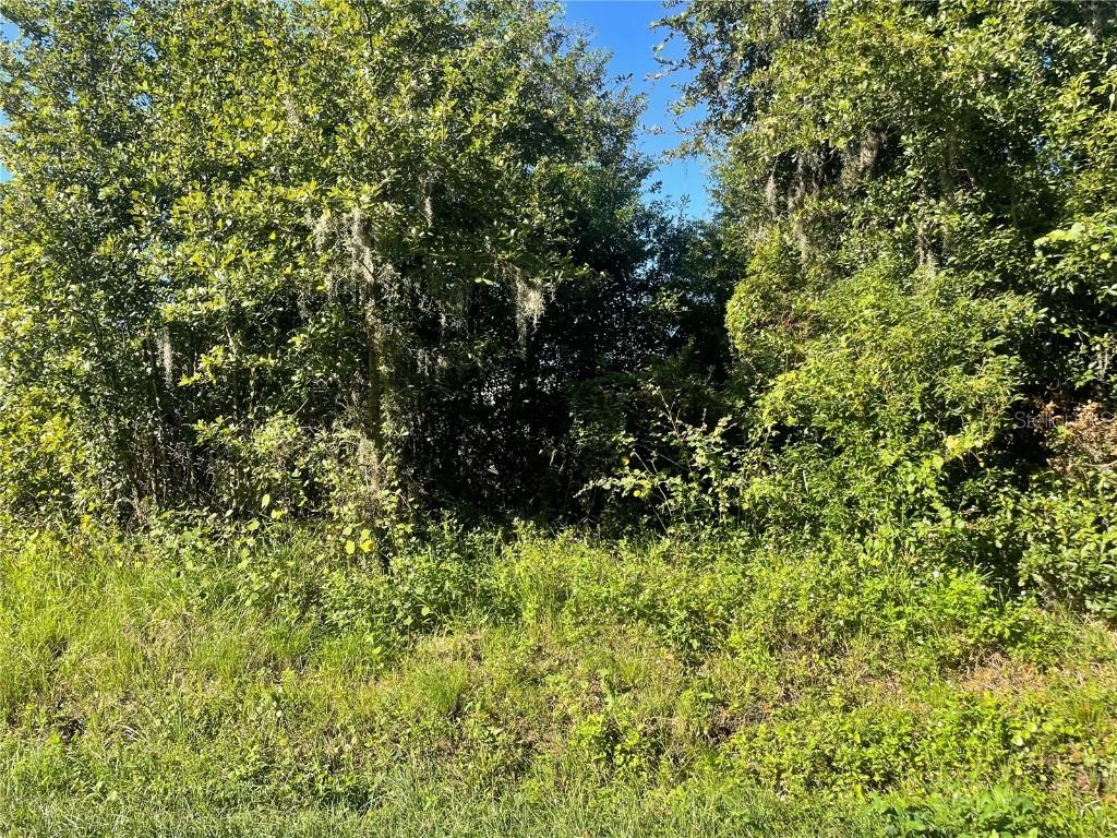 Pevetty Dr., Plant City, FL 33563