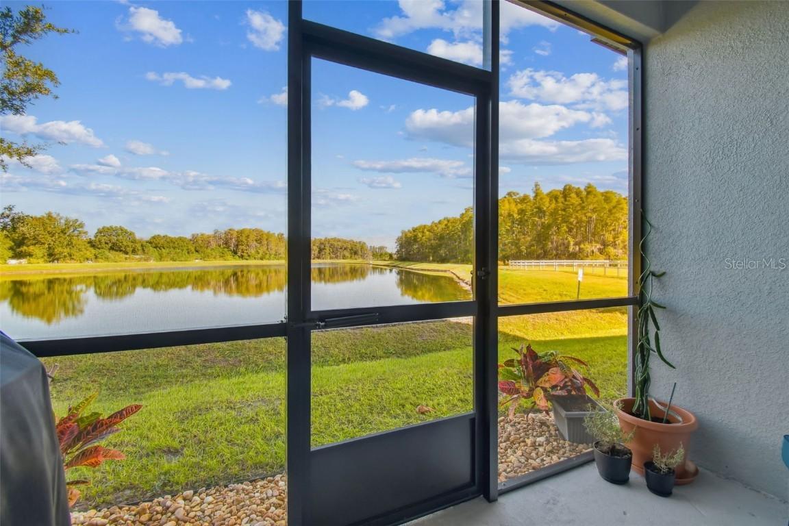 2213 Cerulean Sky Dr., Lutz, FL 33558