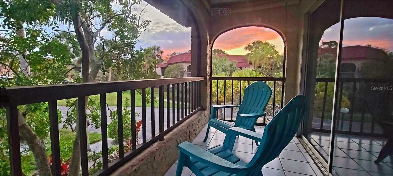 1003 S Bayshore Blvd. #207, Safety Harbor, FL 34695
