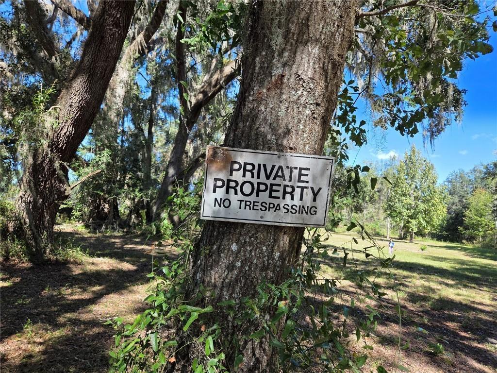 3199 168th St., Wellborn, FL 32094