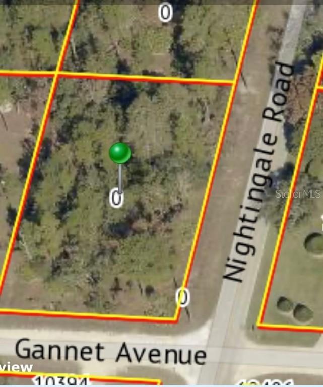 9021 Nightingale Rd., Weeki Wachee, FL 34613