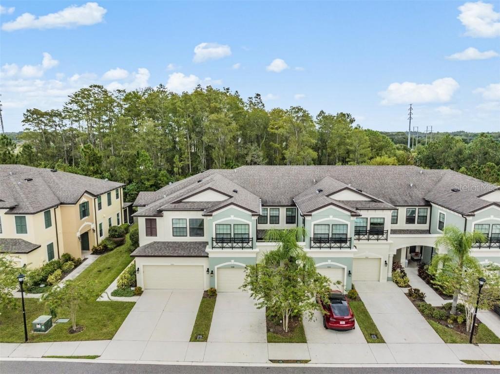 9248 Fox Sparrow Rd., Tampa, FL 33626