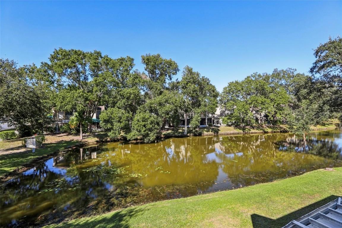 6935 Lake Place Ct., Tampa, FL 33634