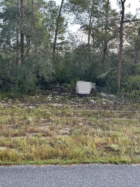 17213 SW 28th Ave., Ocala, FL 34473
