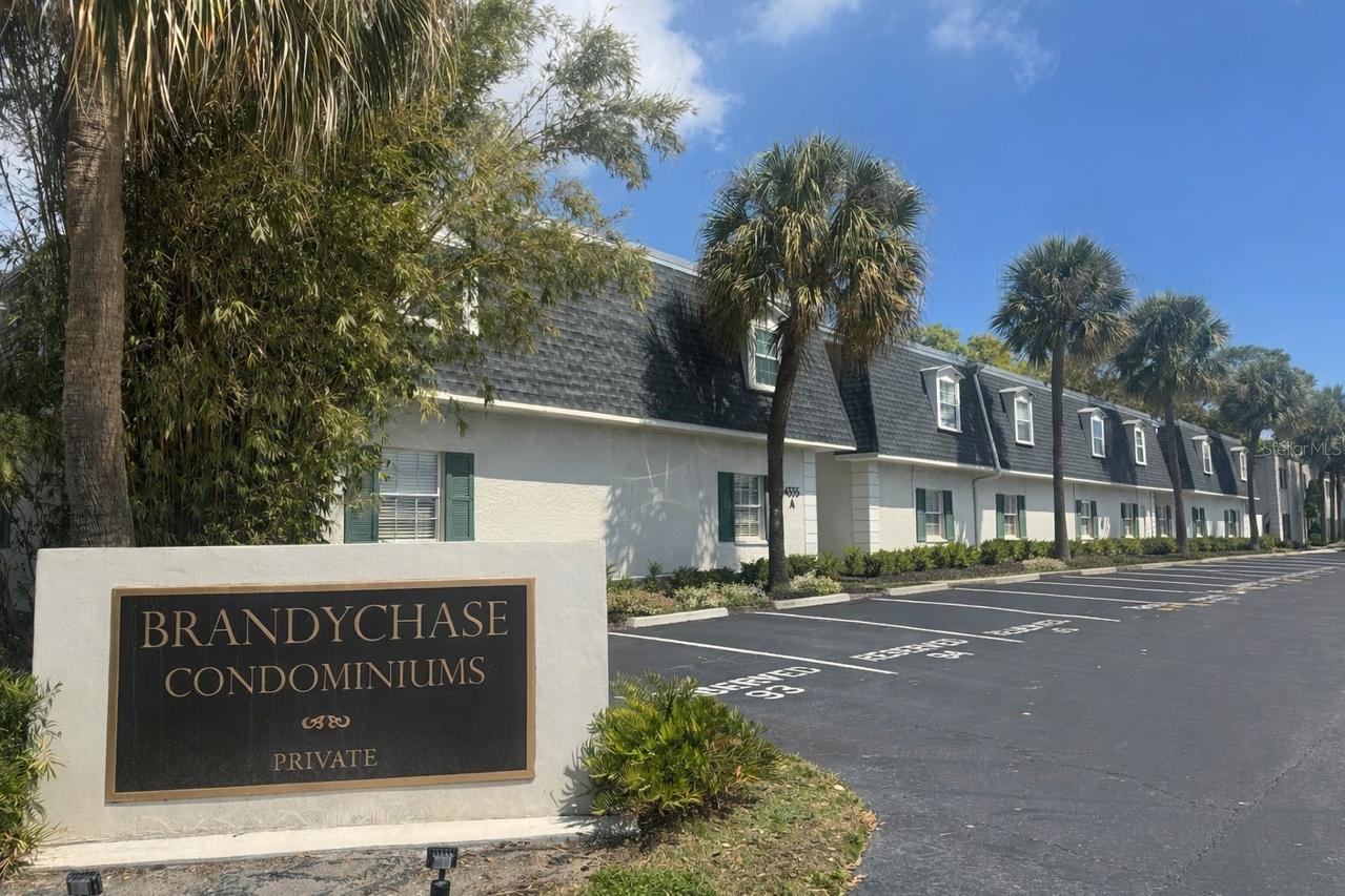 4335 Aegean Dr. #212A, Tampa, FL 33611