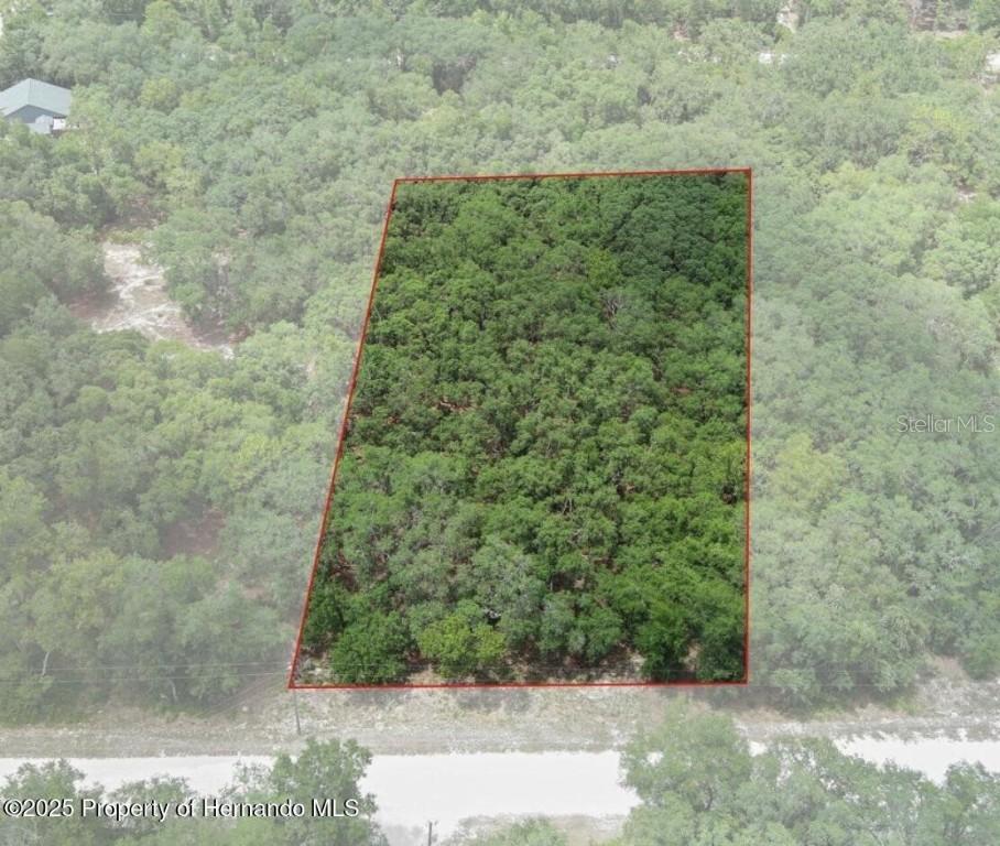 33175 Faculty St., Webster, FL 33597