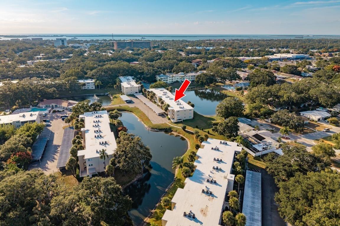 936 Virginia St. #208, Dunedin, FL 34698