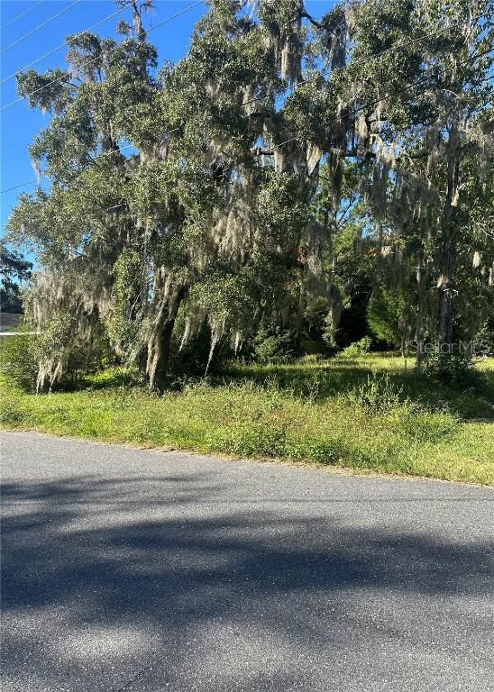 Lot 8 NE 1st St., Williston, FL 32696