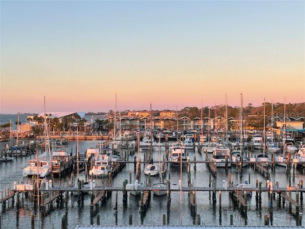 634 Edgewater Dr. #447, Dunedin, FL 34698