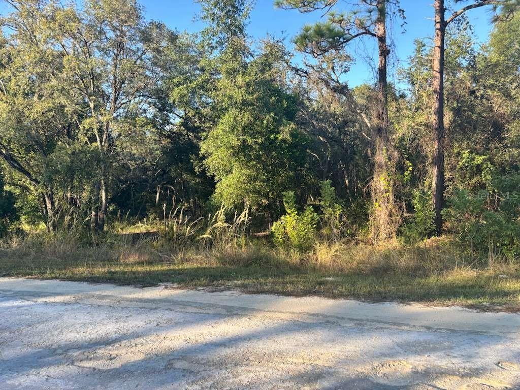 33193 Easter Dr., Webster, FL 33597