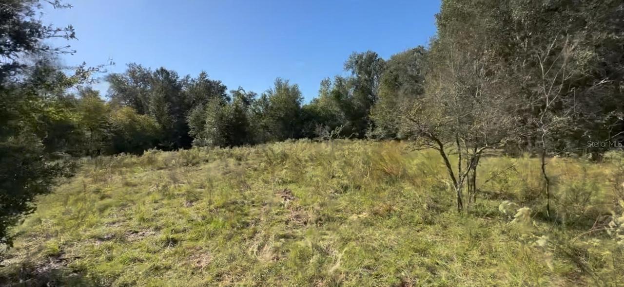 2309 Garfield St., Inverness, FL 34453