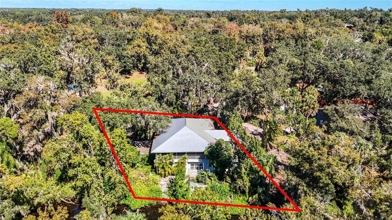 116 Currys Landing Tr., Brandon, FL 33511