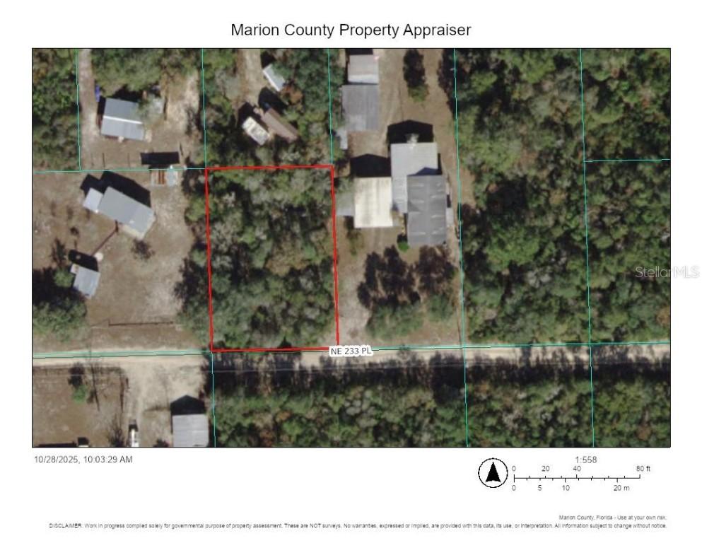 TBD NE 233rd Pl., Fort Mc Coy, FL 32134