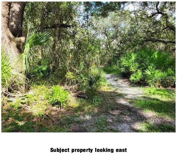 Lantana Ave., Clearwater, FL 33755