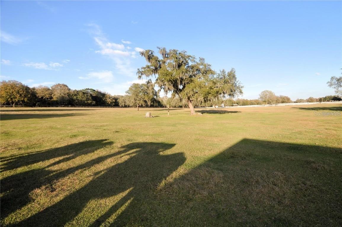 Arabian Way, Dade City, FL 33523