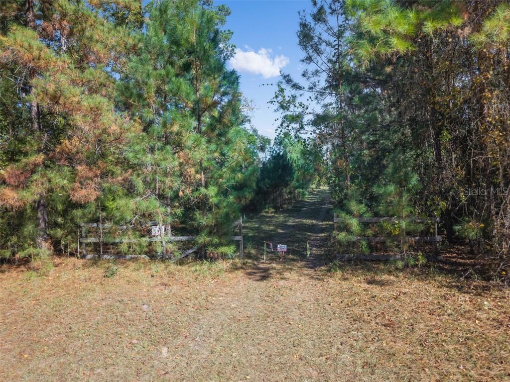 Sw Paradise Way Sw, Greenville, FL 32331
