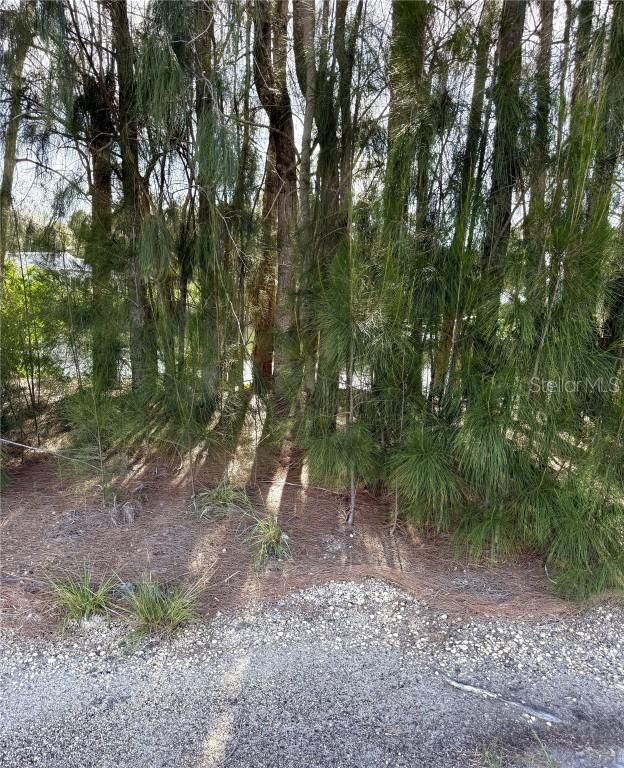 Jills Lane, Aripeka, FL 34679