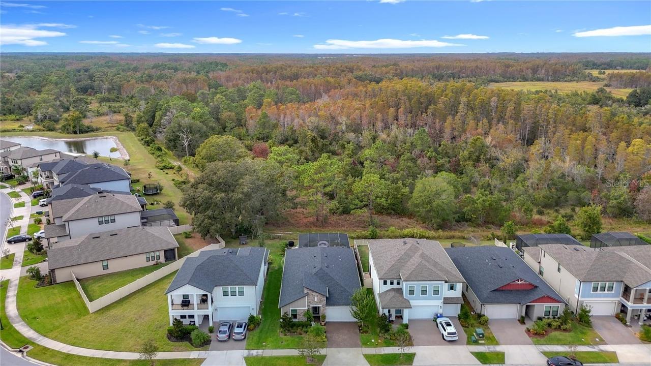 21548 Violet Periwinkle Dr., Land O Lakes, FL 34637