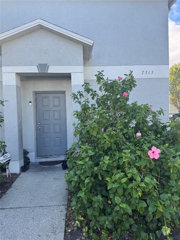 7313 E Bank Dr., Tampa, FL 33617