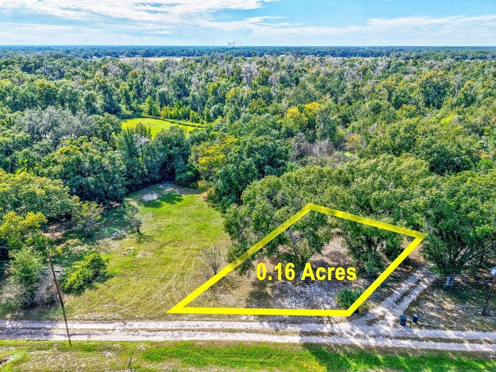 Ivy Branch Ln., Lakeland, FL 33810