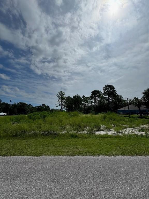 13142 Mottled Duck Rd Rd., Weeki Wachee, FL 34614