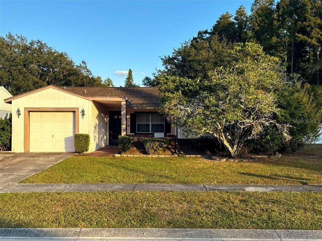 14003 Basin St., Tampa, FL 33625