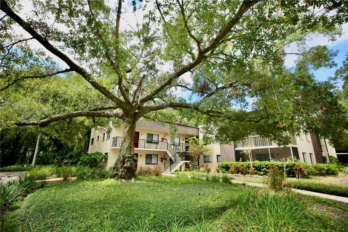 11702 Raintree Village Blvd. #B, Temple Terrace, FL 33617