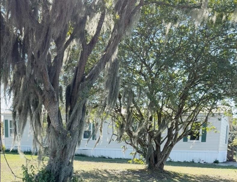 1660 Belmont Woods Dr., Mulberry, FL 33860