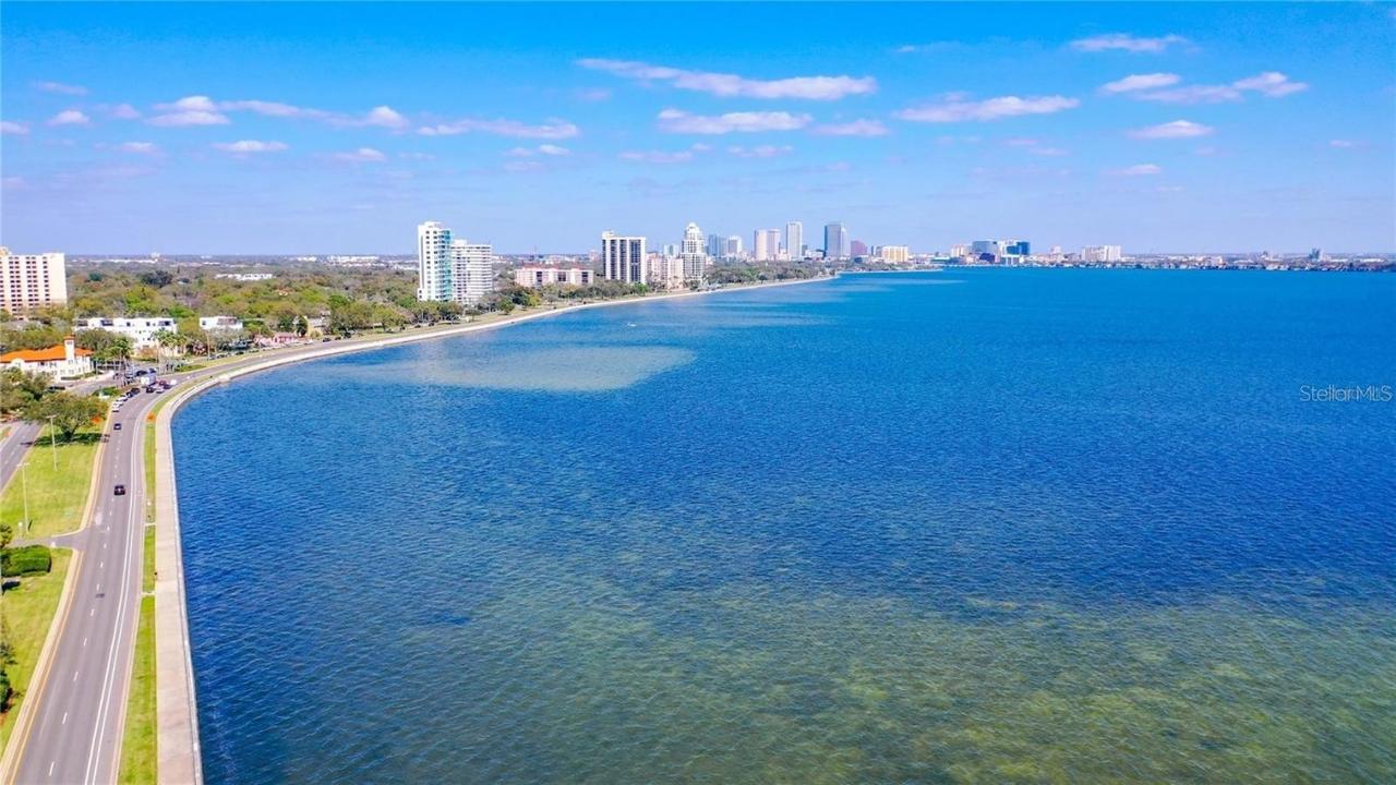 3301 Bayshore Blvd. #1905C, Tampa, FL 33629