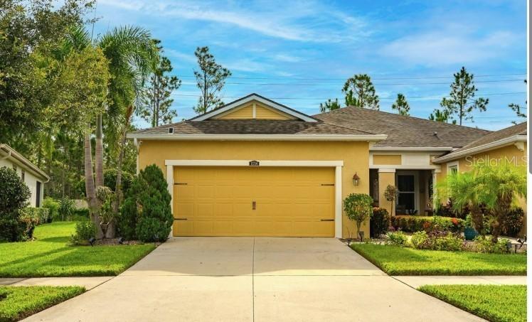 11714 Wrought Pine Loop, Riverview, FL 33569
