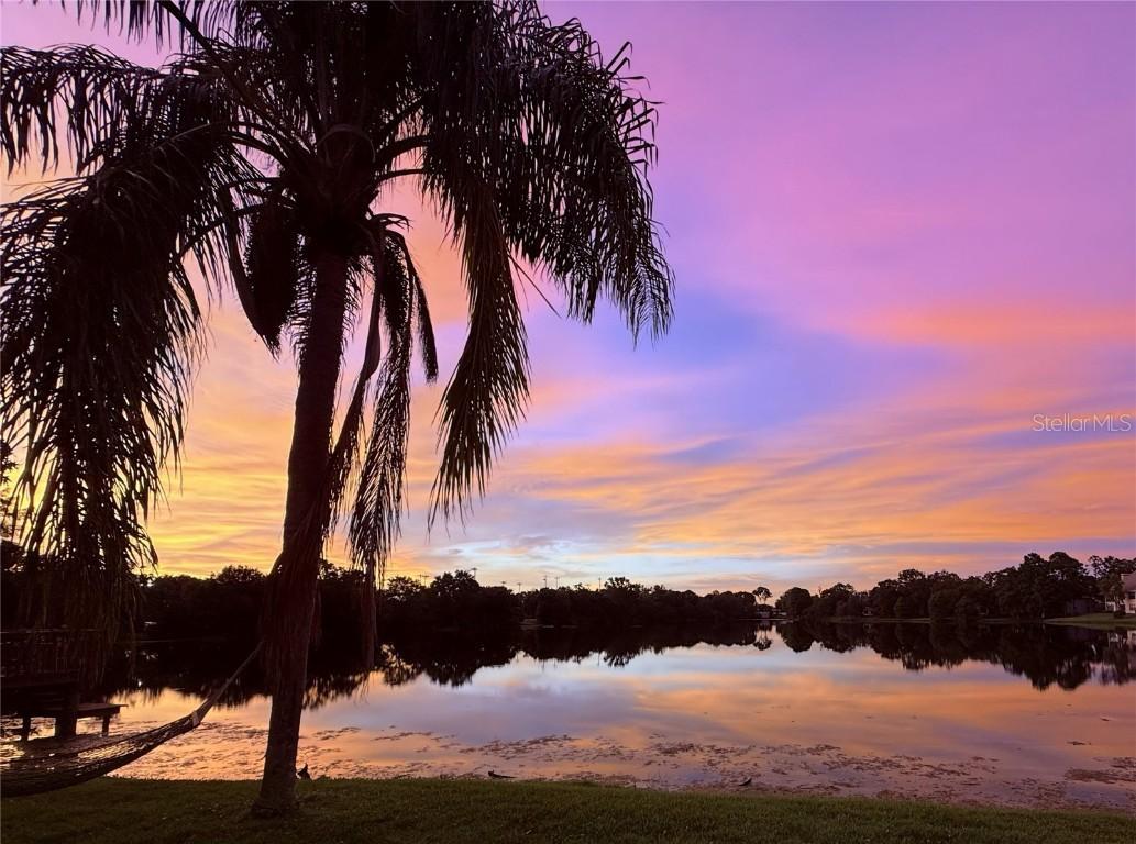 2648 Sabal Springs Dr. #6, Clearwater, FL 33761