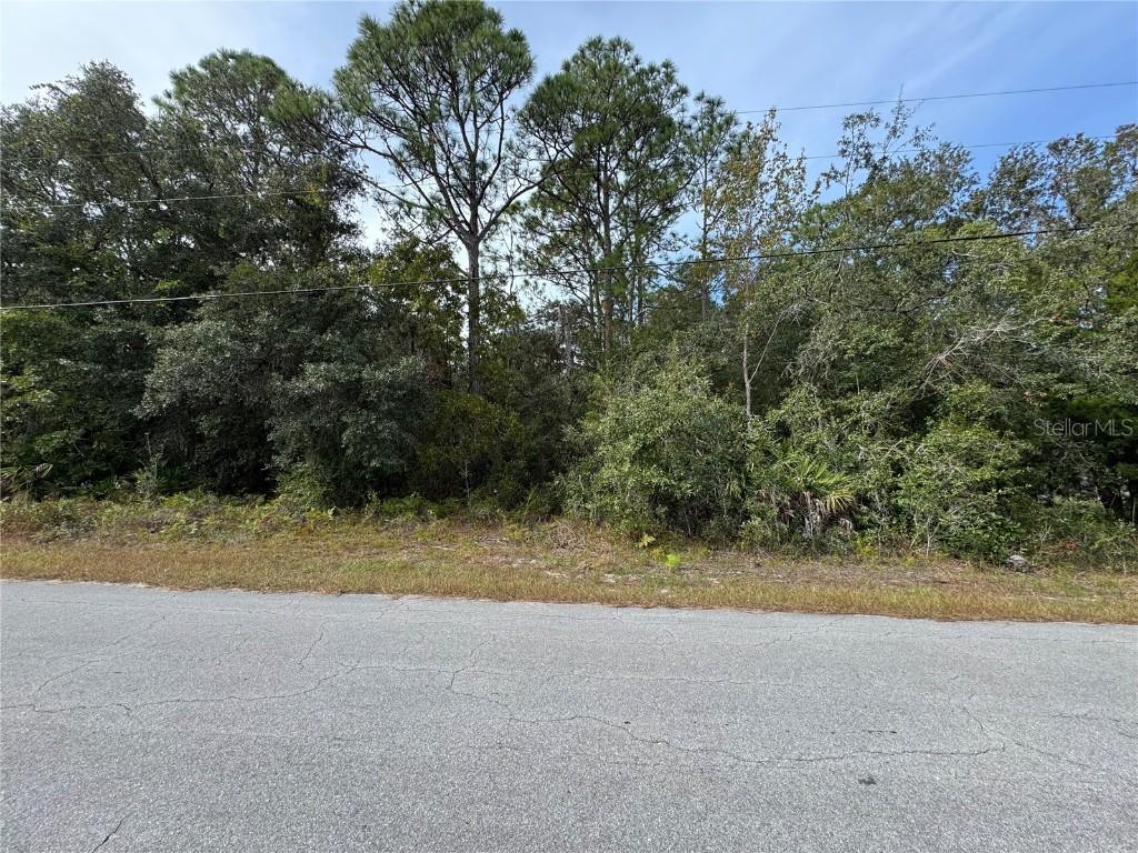 2830 S Bolton Ave., Homosassa, FL 34448