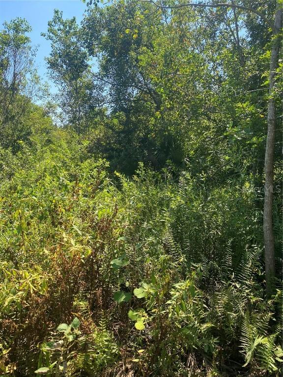 0000 23rd Ave Rd., Ocala, FL 34473