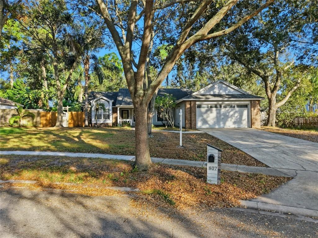 807 Edgehill Dr., Palm Harbor, FL 34684