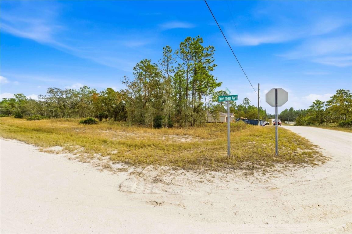 Tinamou Ave., Weeki Wachee, FL 34614