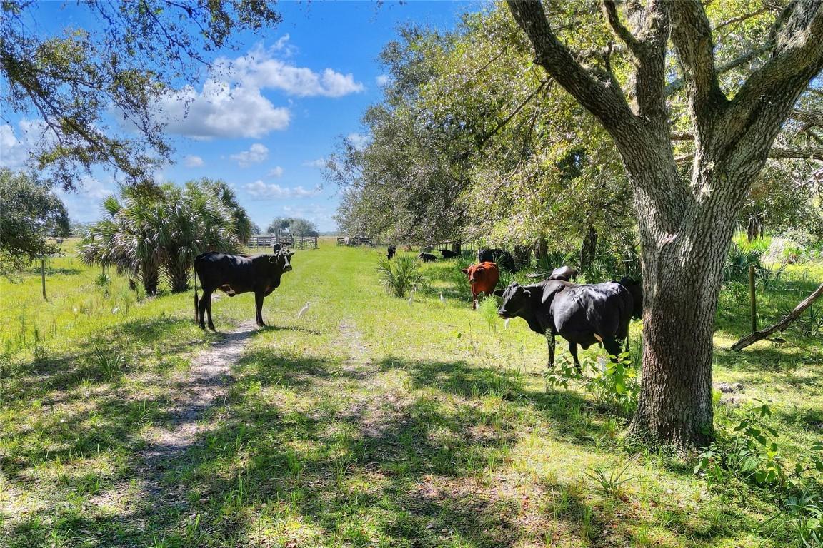 46891 Farabee Rd., Punta Gorda, FL 33982