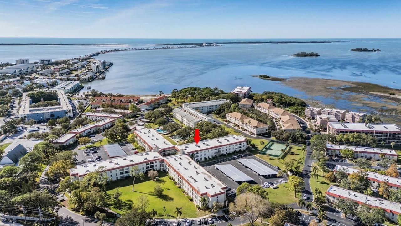 2700 Bayshore Blvd. #4104, Dunedin, FL 34698