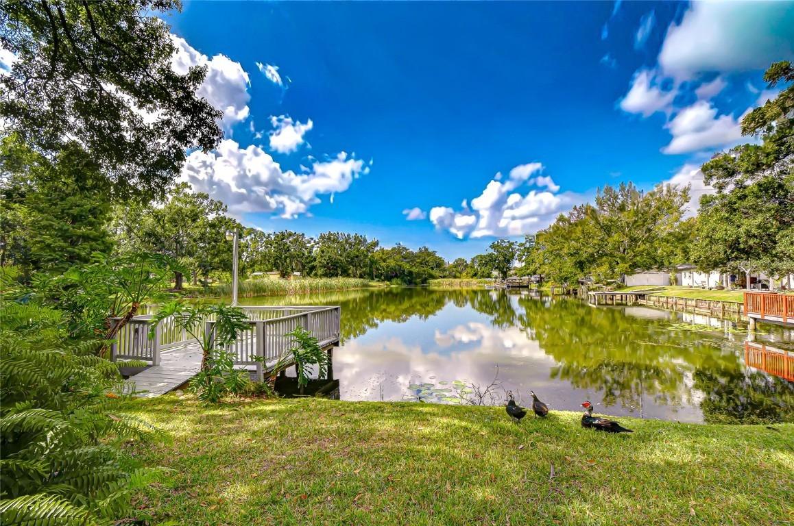 8120 N Albany Ave., Tampa, FL 33604