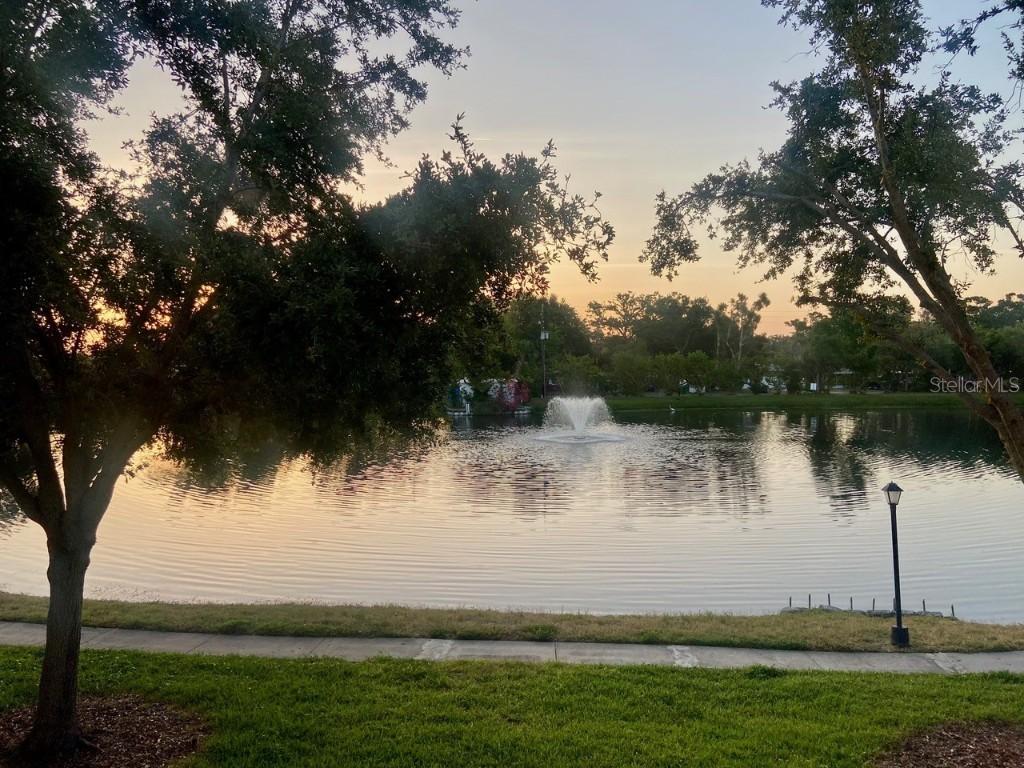 8125 112th St. #204, Seminole, FL 33772