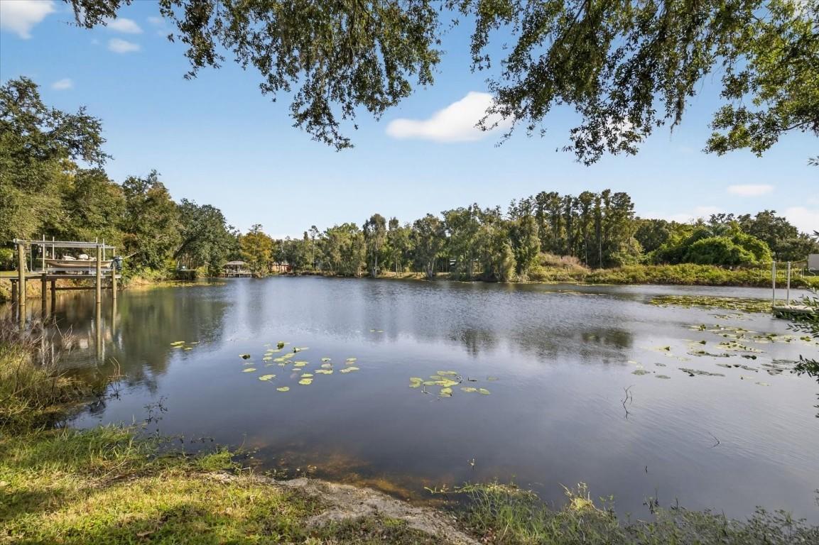 3926 Cove Lake Pl., Land O Lakes, FL 34639